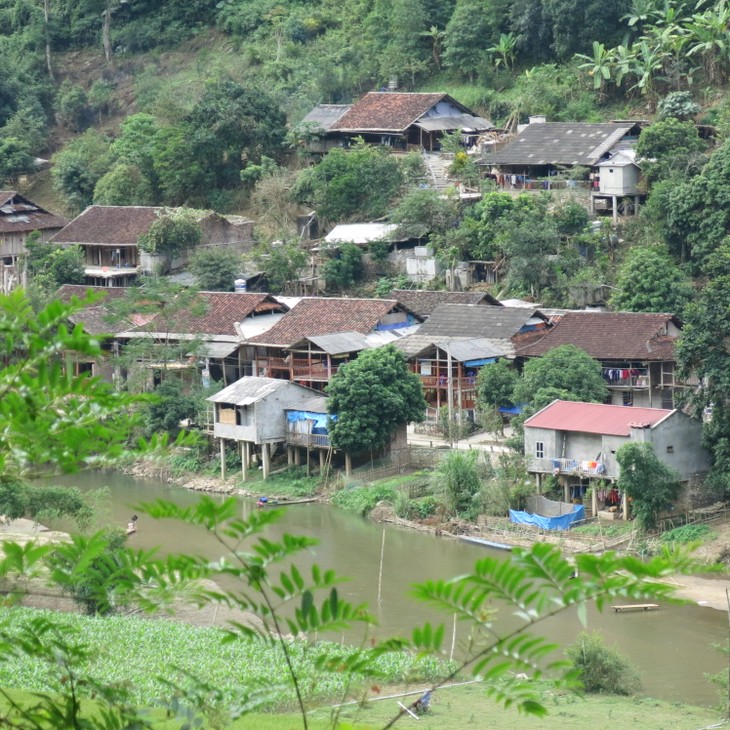 Homestay service for tourists to Ba Be Lake - ảnh 1